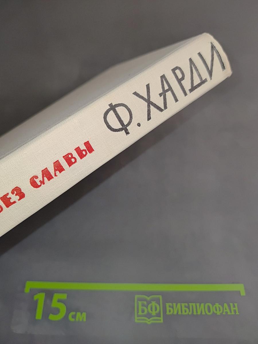 Власть без славы. Книга вторая