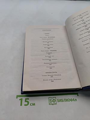 Баязет. Миниатюры