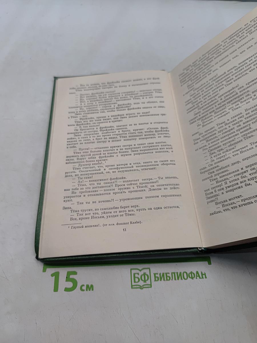 Детство Темы. Гимназисты