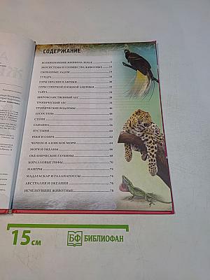 Атлас животных