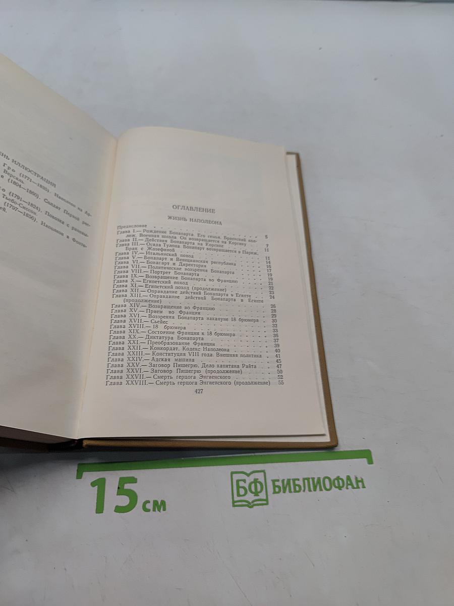 Собрание сочинений в пятнадцати томах. Том одиннадцатый. Жизнь Наполеона