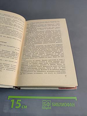 Власть без славы. Книга первая