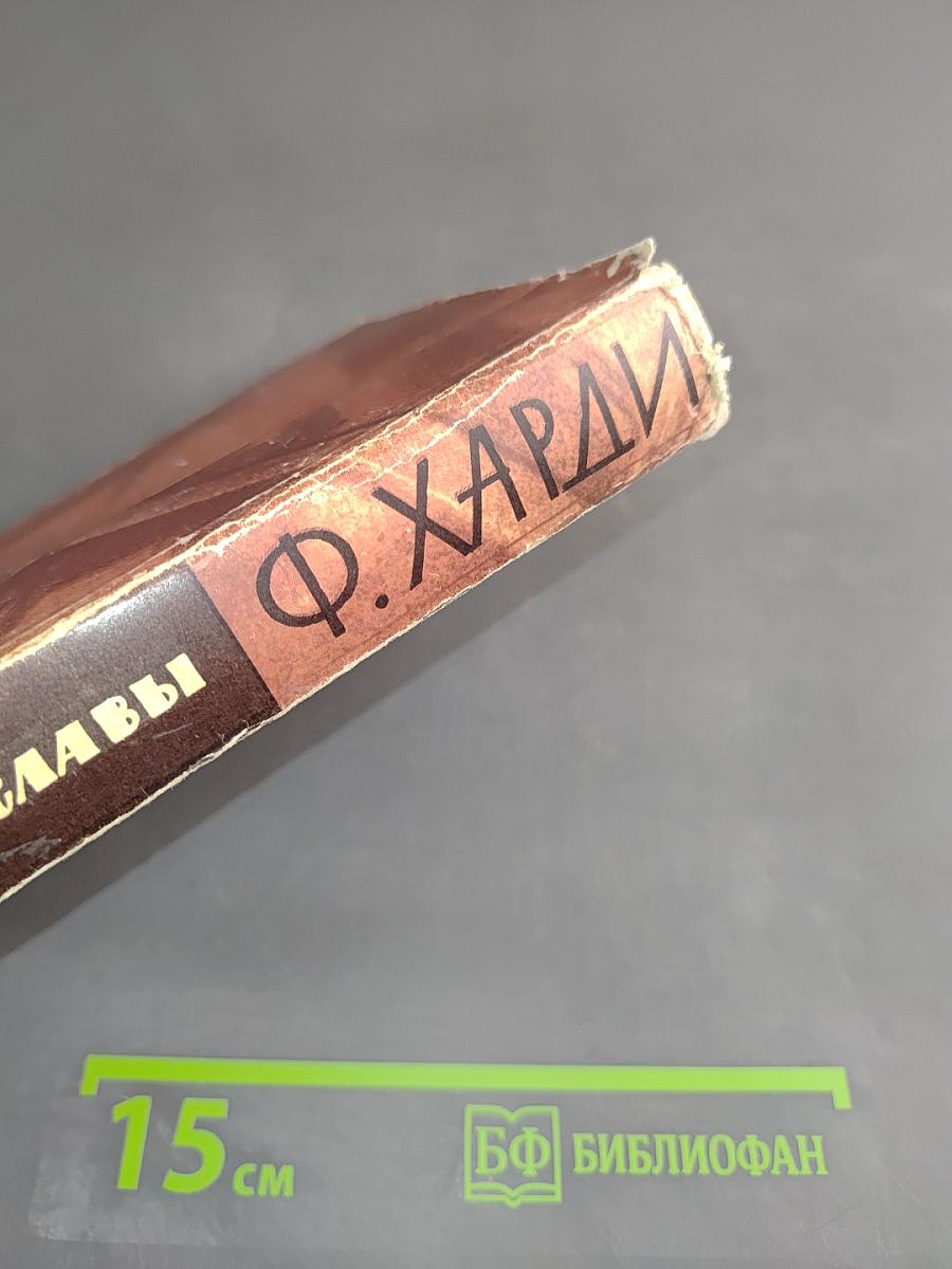 Власть без славы. Книга первая