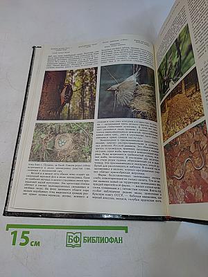Заповедники СССР. Заповедники европейской части РСФСР. II
