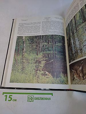 Заповедники СССР. Заповедники европейской части РСФСР. II