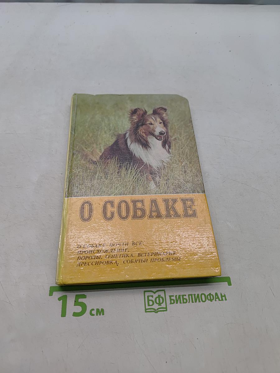 О собаке