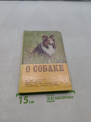 О собаке