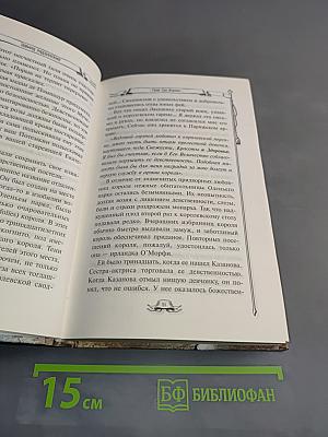 Железная маска. Триллер в век мушкетеров