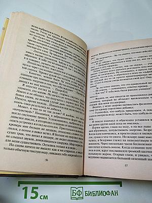 Зеркала судьбы, скитальцы