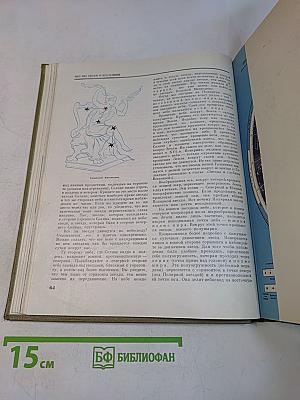 Детская энциклопедия