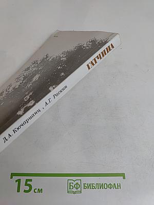 Гатчина