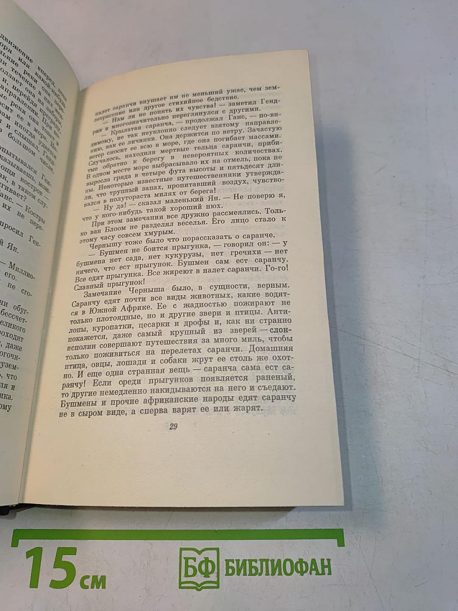 В дебрях Южной Африки. Юные охотники. Охотники за жирафами. Том четвертый
