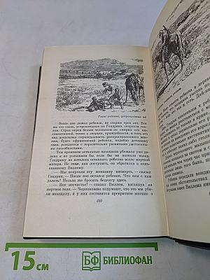 В дебрях Южной Африки. Юные охотники. Охотники за жирафами. Том четвертый