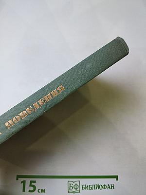 Эстетика поведения