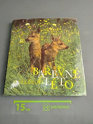 Barevné léto