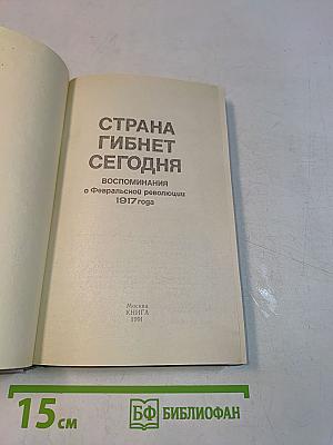 Страна гибнет сегодня. Воспоминания о Февральской революции 1917 года