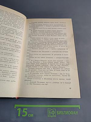 Слово и дело. Том I. Книга вторая. Мои любезные конфиденты