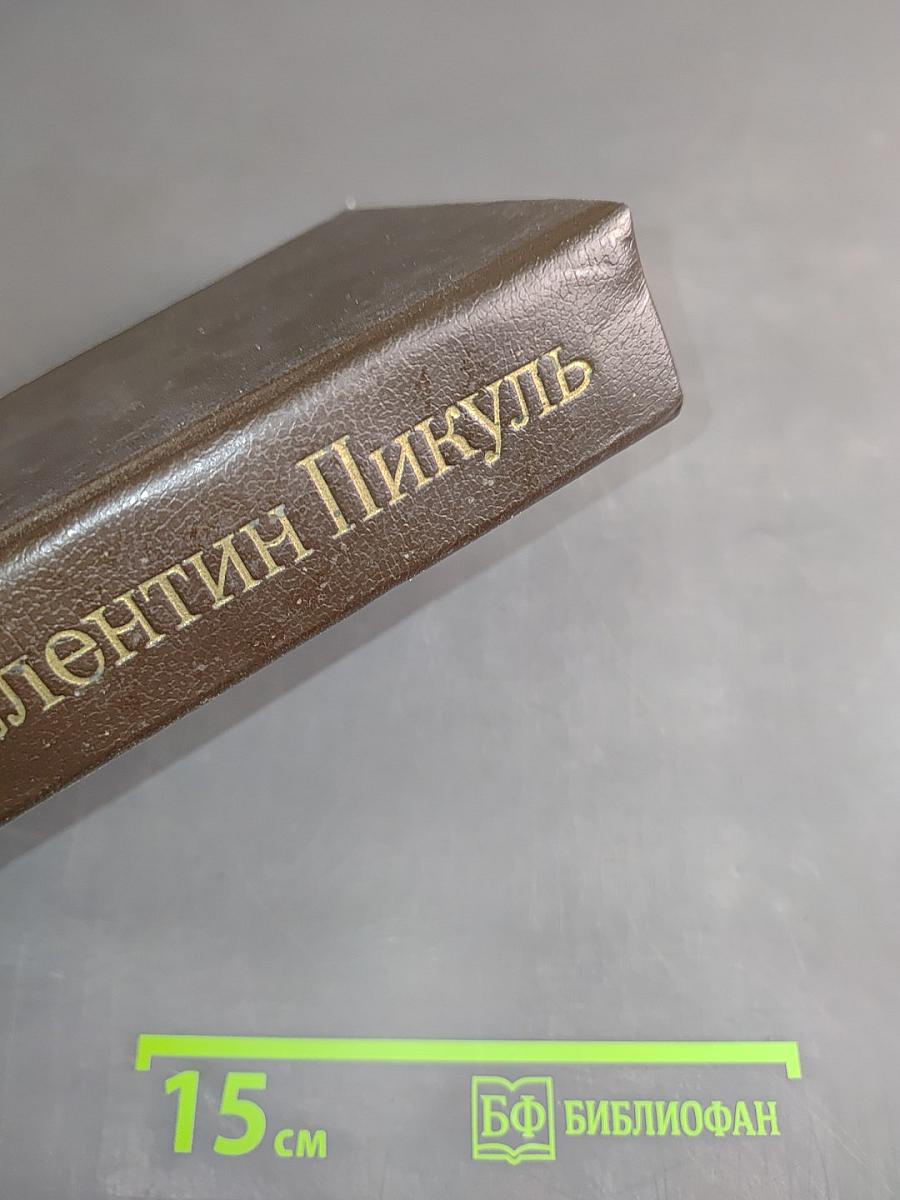 Слово и дело. Том I. Книга вторая. Мои любезные конфиденты