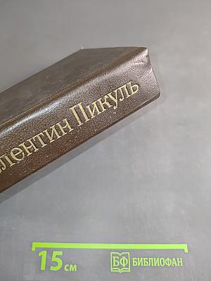 Слово и дело. Том I. Книга вторая. Мои любезные конфиденты