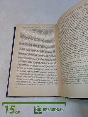 Земное диво