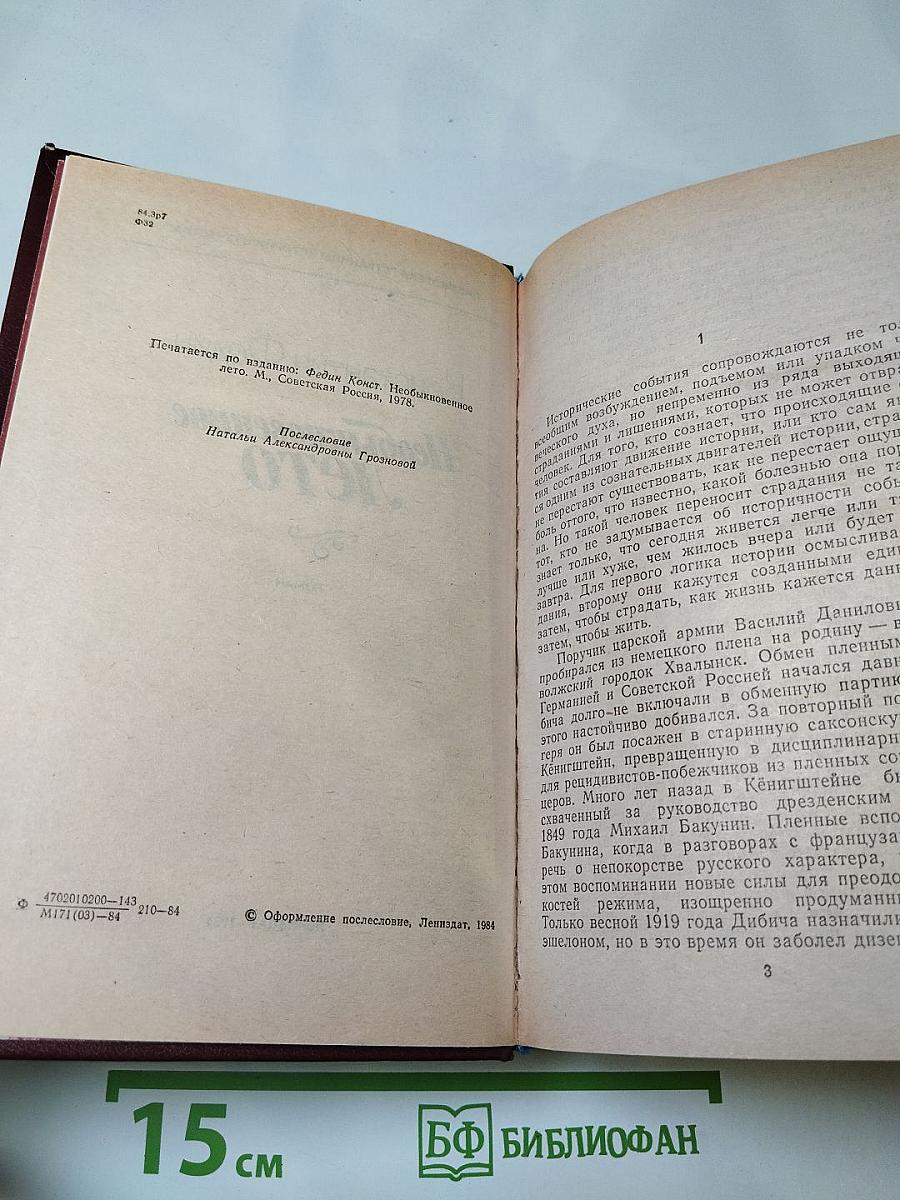 Необыкновенное лето