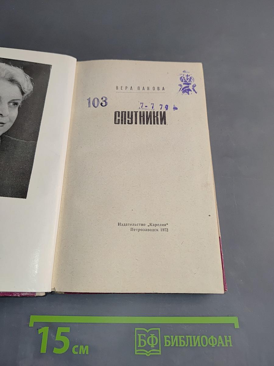 Спутники