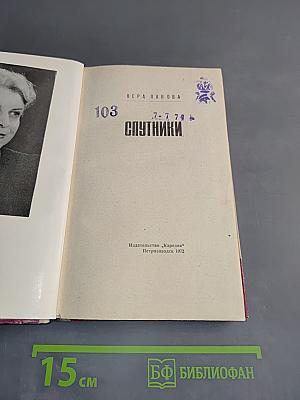 Спутники