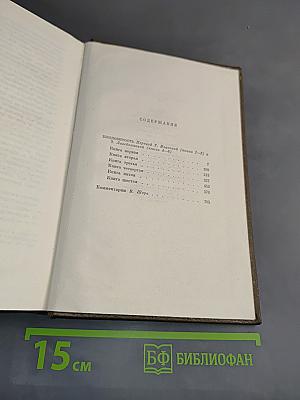 Собрание сочинений. Том двадцатый. Четверо Евангелие. Плодовитость