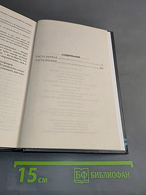 Черный легион. Секретный фарватер