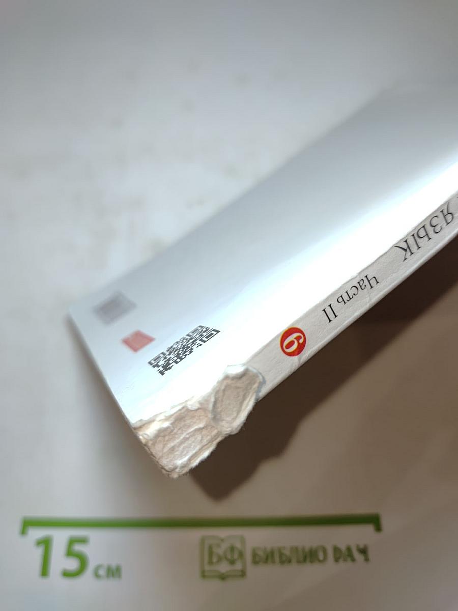 Русский язык. 6 класс. Часть II