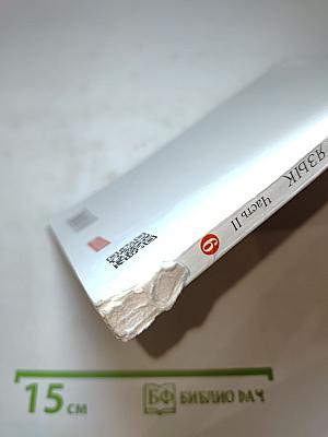 Русский язык. 6 класс. Часть II