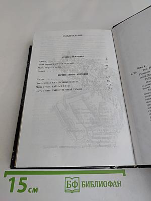 Век безумия. Пушка Ньютона. Исчисление ангелов