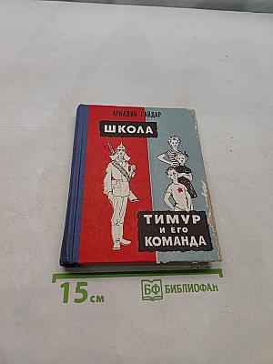 Школа. Тимур и его команда