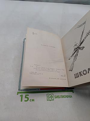 Школа. Тимур и его команда