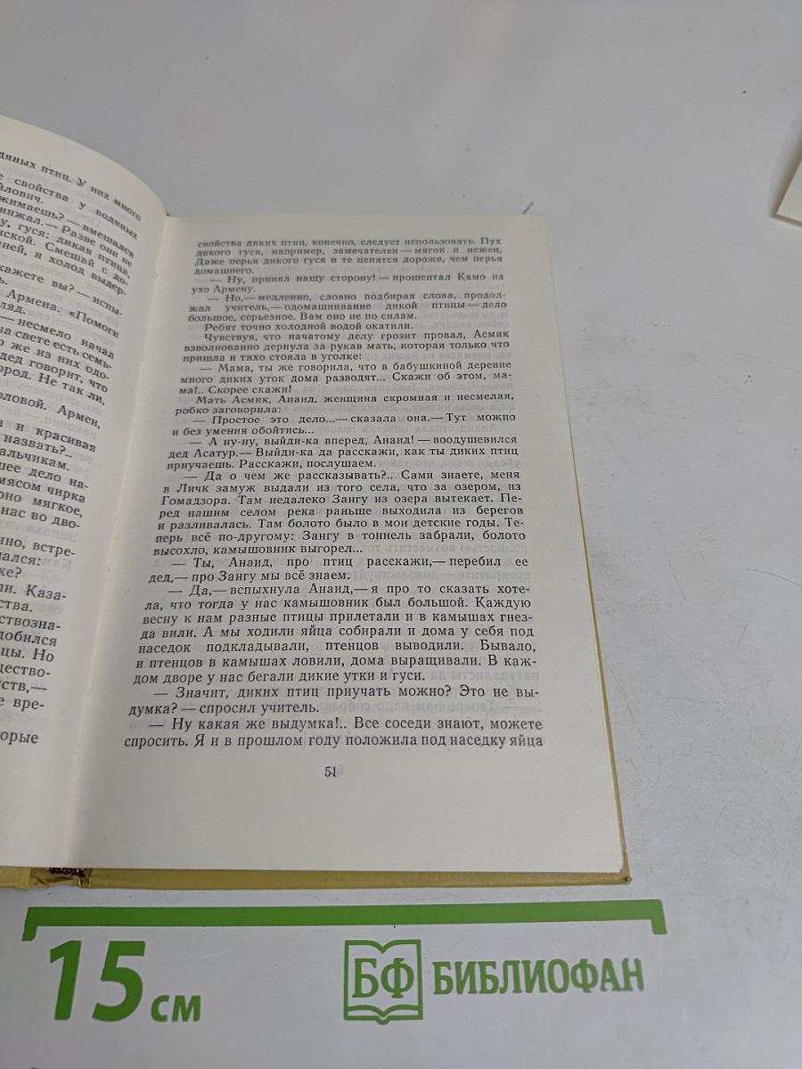 На берегу Севана