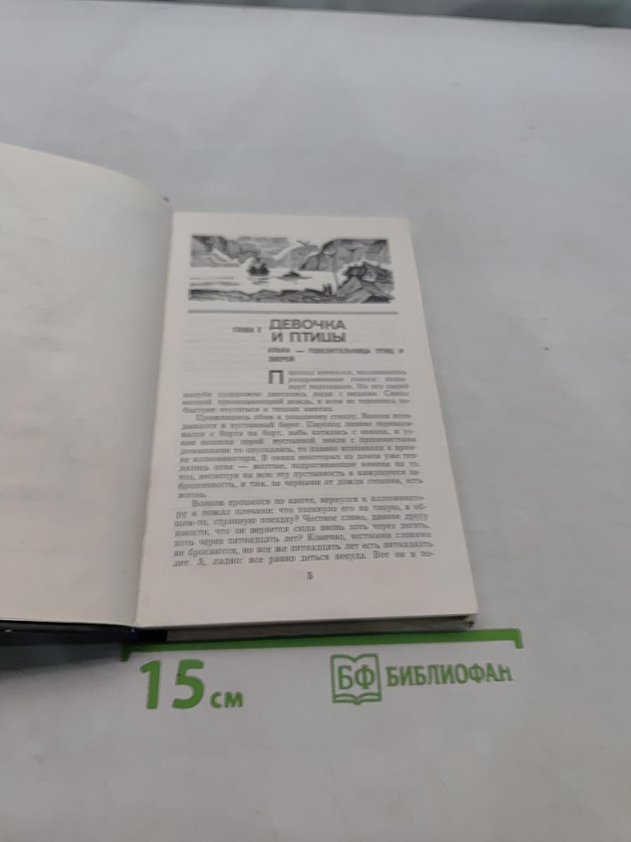 Сестра морского льва