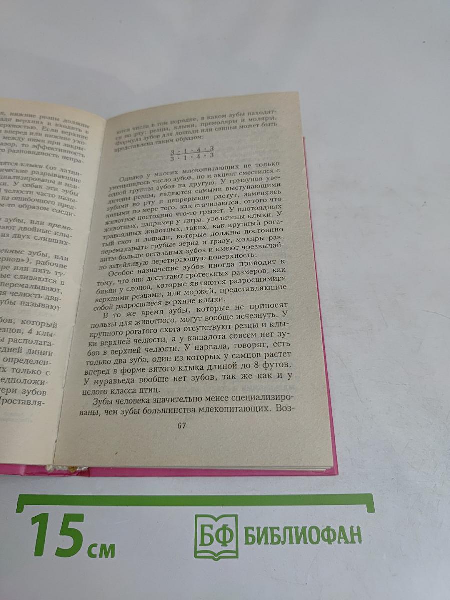 Популярная анатомия. Строение и функции человеческого тела