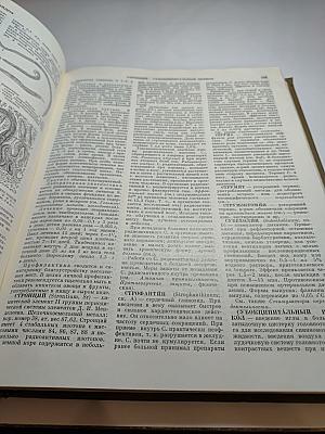 Краткая медицинская энциклопедия. Том 3. Рубец - Ящур