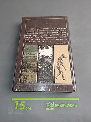 Сад Эдема