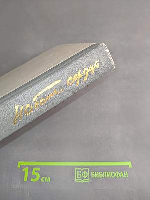 Набат сердца