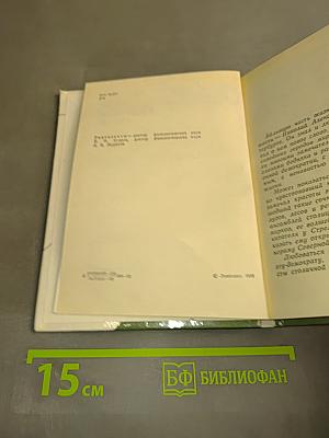 Некрасов в Петербурге