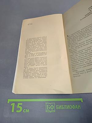 Зимний букет