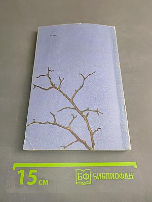 Зимний букет