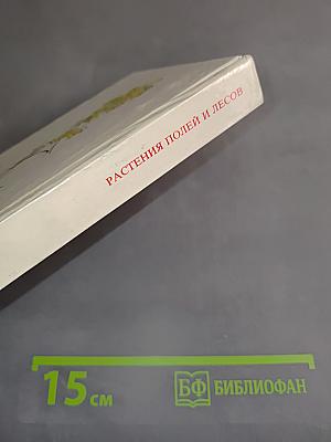 Растения полей и лесов