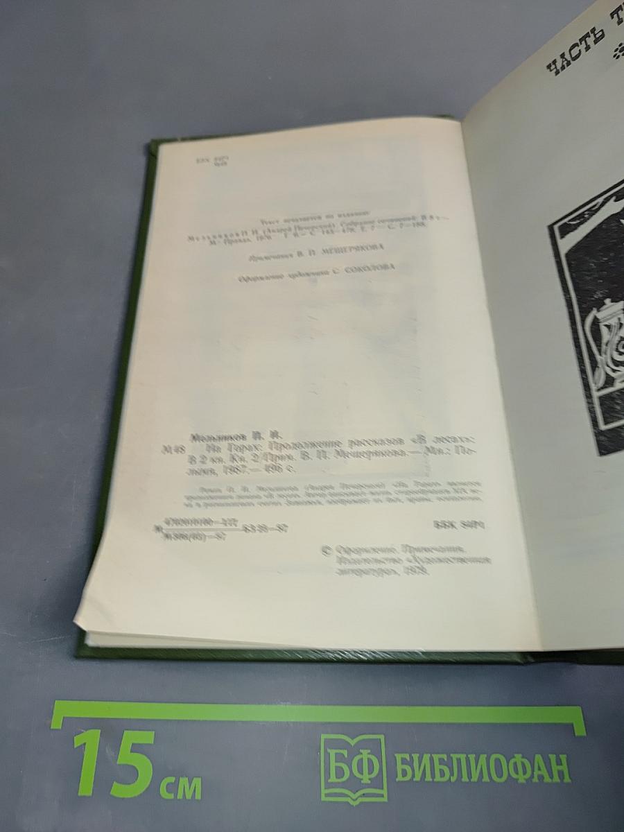 На горах. Книга вторая