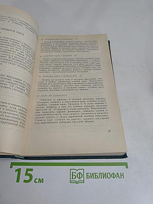 Овощи в современной кулинарии