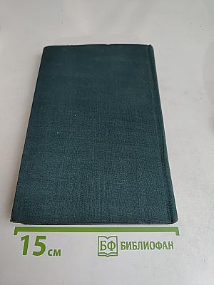 Овощи в современной кулинарии