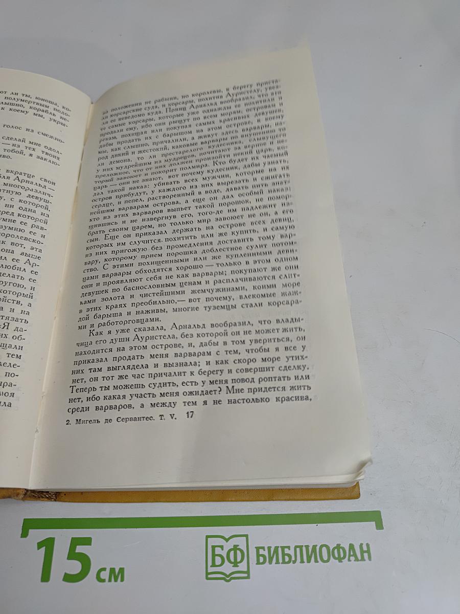 Странствия Персилеса и Сихизмунды. Том пятый