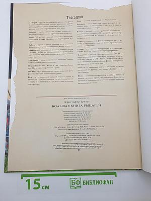 Большая книга рыцарей