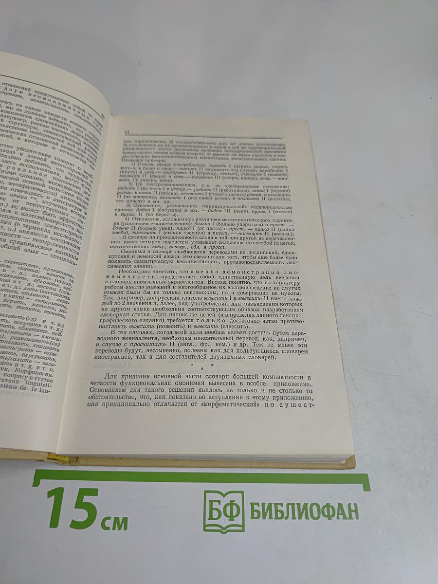 Словарь омонимов русского языка